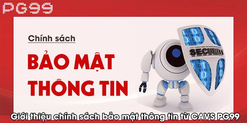 Giới thiệu chính sách bảo mật thông tin từ CAVS PG99
