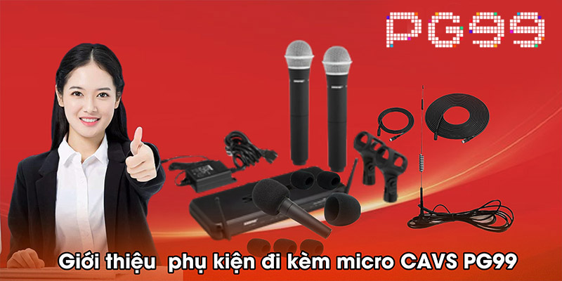 Giới thiệu chung về phụ kiện đi kèm micro CAVS PG99