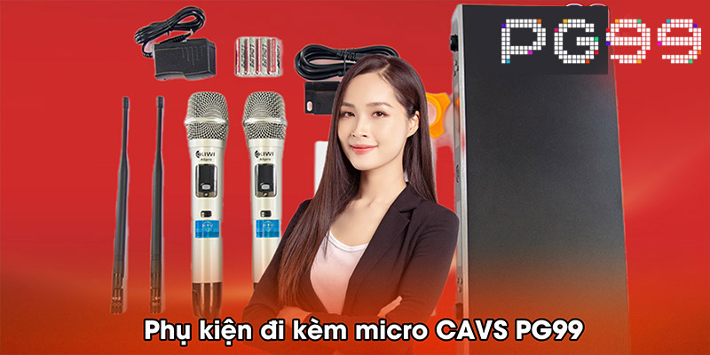 Phụ kiện đi kèm micro CAVS PG99